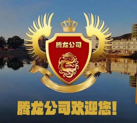 腾龙公司商业酒店
